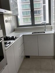 Park Infinia At Wee Nam (D11), Condominium #619582411